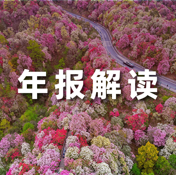 j9网站动力2025营收利润双增，全栈智能驱动增长，AI有关业务收入占比达52.6%  ?